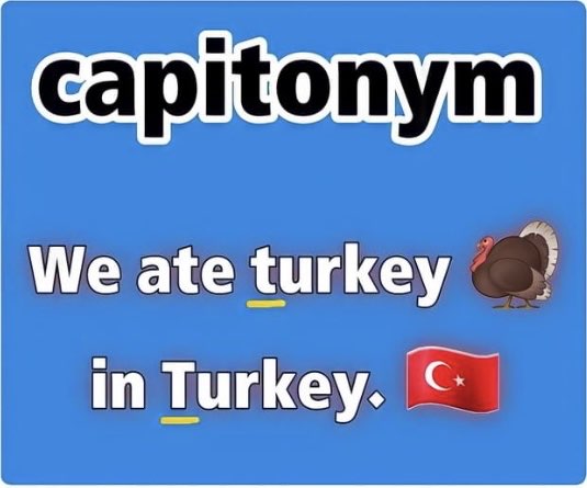 C6DE2406-9A12-469B-B1B0-677A4CB96900