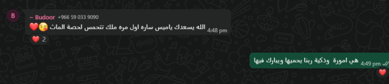 Screenshot 2026-02-28 104319