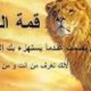 Profile photo of mohamad