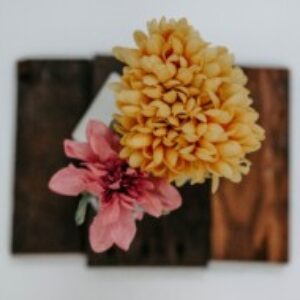 Profile photo of Summar Hamdy